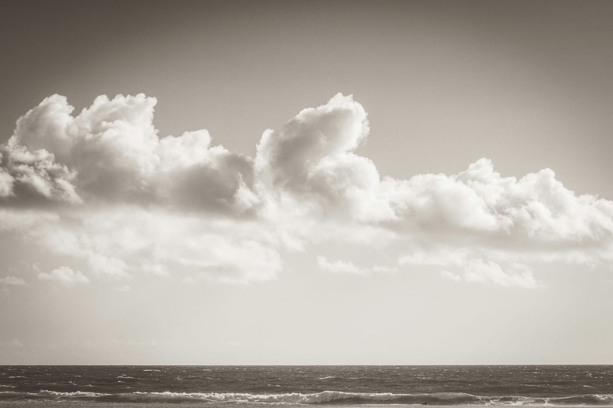 Venice Beach BW Mural Wallpaper - pure wallpaper artwork