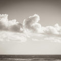 Venice Beach BW Mural Wallpaper - pure wallpaper artwork