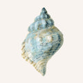 Coastal Bliss IV Mural Wallpaper - pure wallpaper artwork