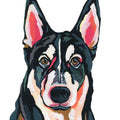Husky Mural Wallpaper - pure wallpaper artwork