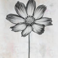 Wonderful Wildflowers IV Neutral Mural Wallpaper - pure wallpaper artwork