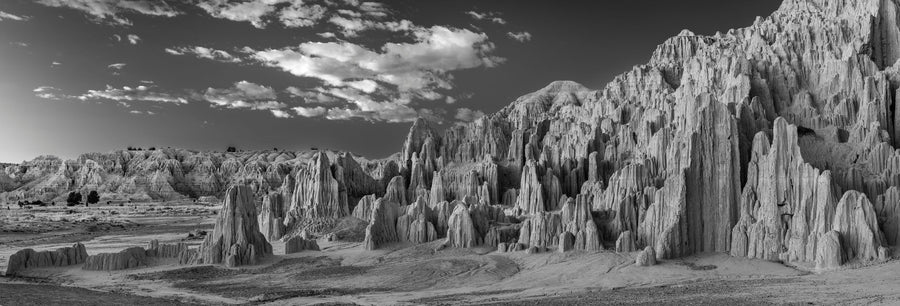 Cathedral Gorge, Black and White Mural Wallpaper