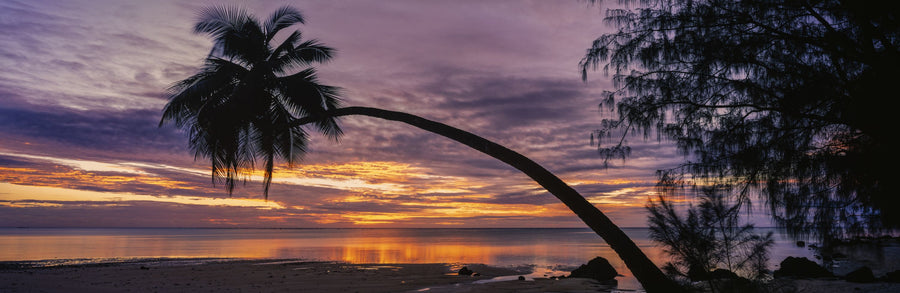 Aitutaki Palms Mural Wallpaper
