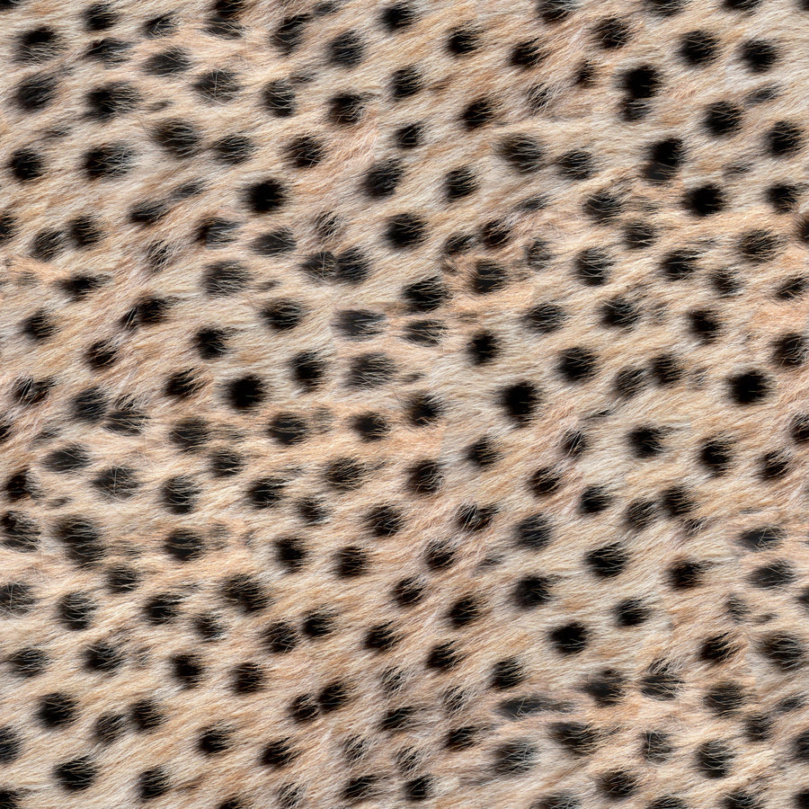 Cheetah Fur Texture Mural Wallpaper