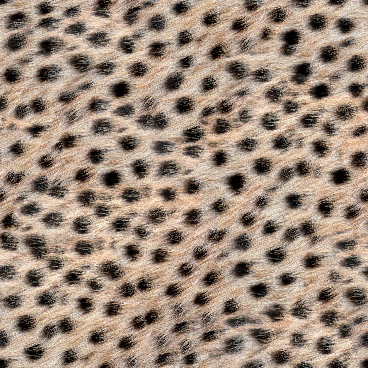 Cheetah Fur Texture Mural Wallpaper - pure wallpaper artwork