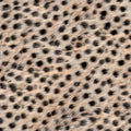 Cheetah Fur Texture Mural Wallpaper - pure wallpaper artwork