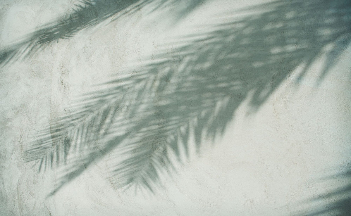 Palm Shadow I Mural Wallpaper - pure wallpaper artwork