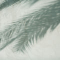 Palm Shadow I Mural Wallpaper - pure wallpaper artwork