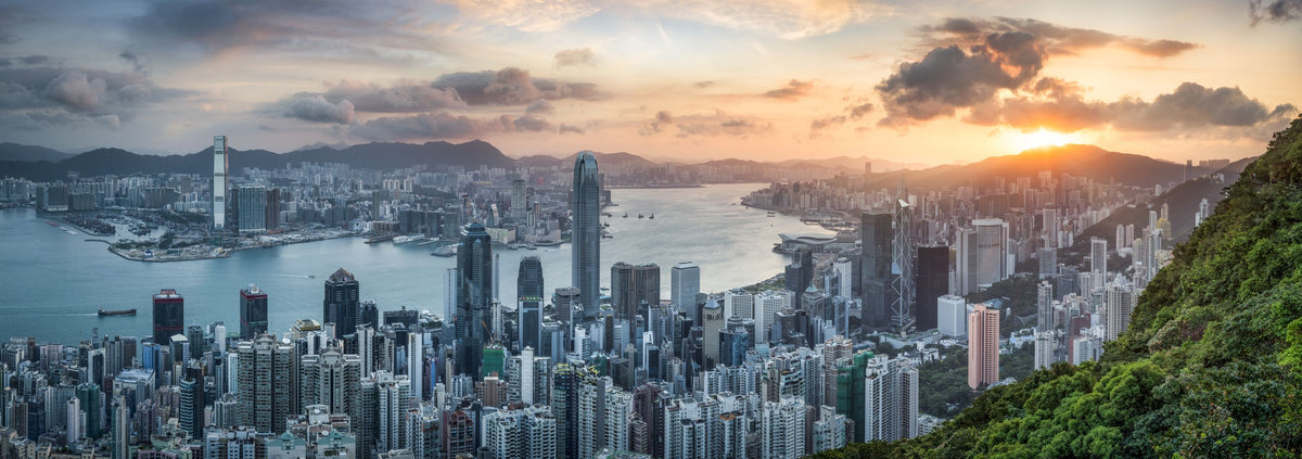 Victoria Harbour Mural Wallpaper - pure wallpaper artwork