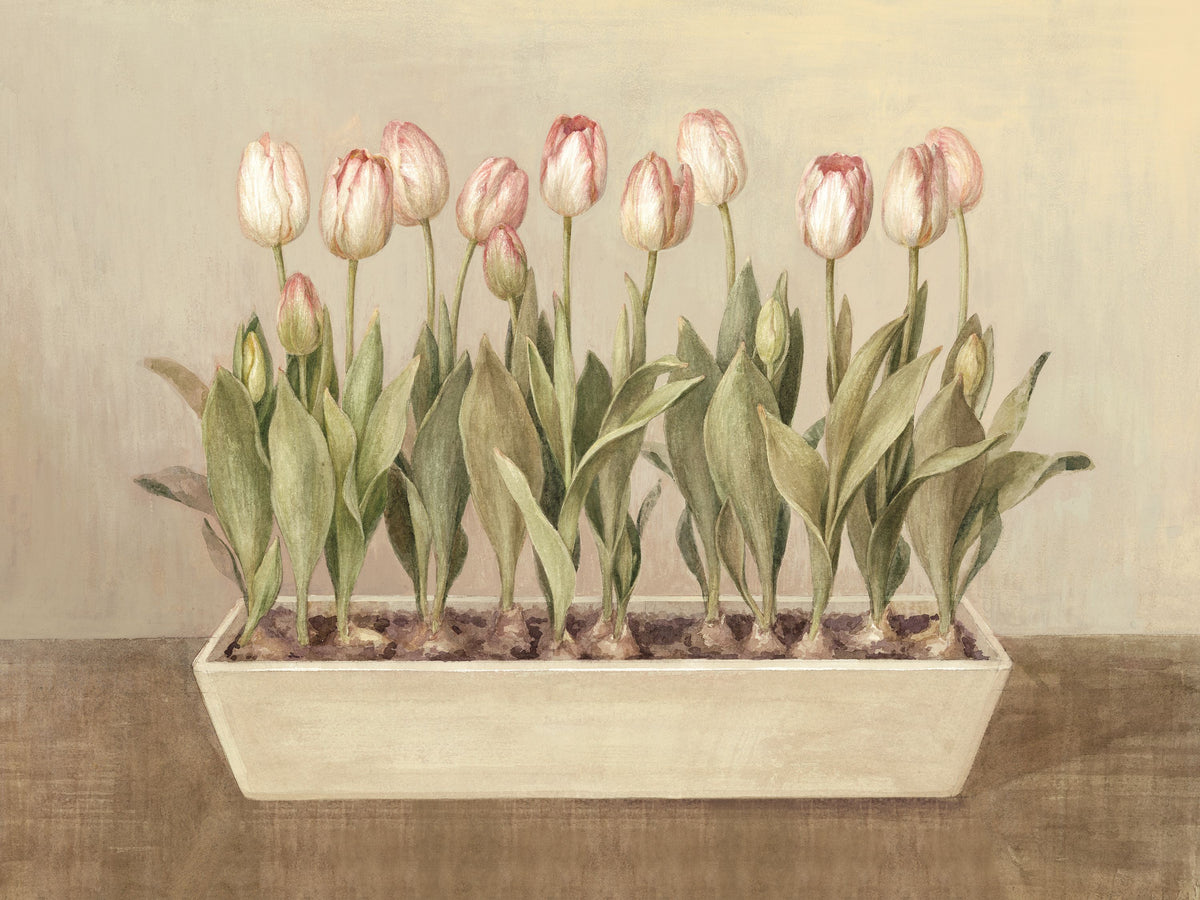 Tulip Friends II Mural Wallpaper - pure wallpaper artwork