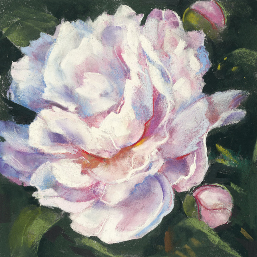 Peony III Mural Wallpaper