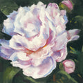 Peony III Mural Wallpaper - pure wallpaper artwork
