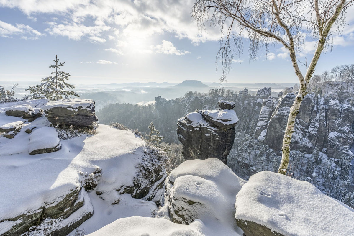 Swiss Winter Mural Wallpaper - pure wallpaper artwork