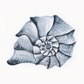 Coastal Harp Shell Navy Mural Wallpaper - pure wallpaper artwork
