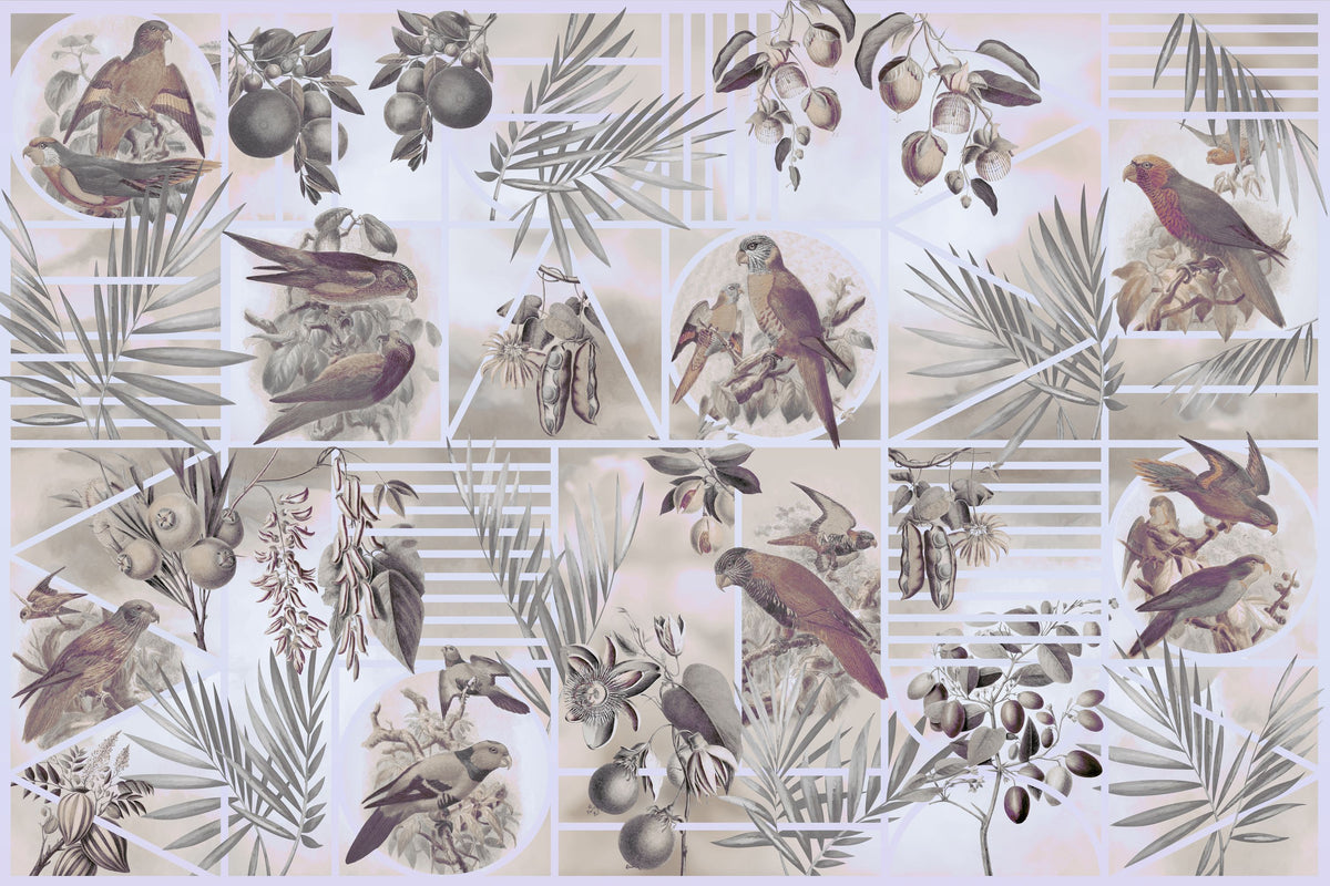 Parrots Study Mural Wallpaper - Edition 3 - pure wallpaper artwork