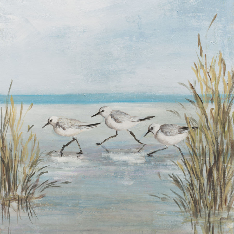 Beach Birds III Mural Wallpaper