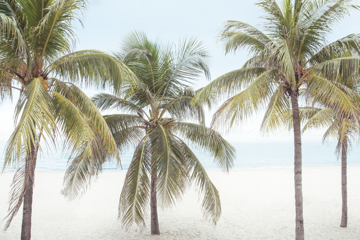 By the Sea I Mural Wallpaper - pure wallpaper artwork