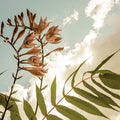 Reaching For the Sky Mural Wallpaper - pure wallpaper artwork