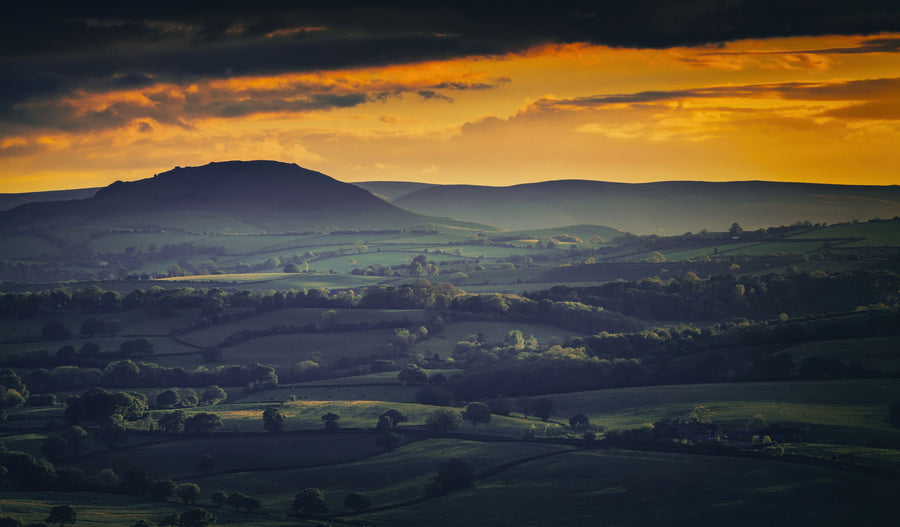 Amber Horizon Mural Wallpaper