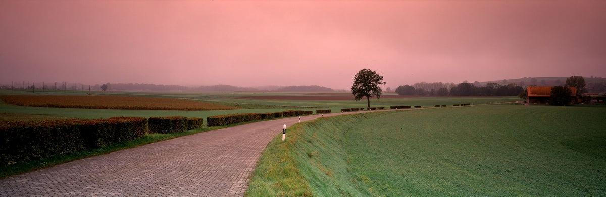 Country Path Sunset Mural Wallpaper - pure wallpaper artwork