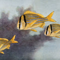 Pork Fish Mural Wallpaper - pure wallpaper artwork