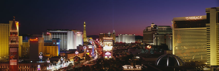 Electric Skyline Mural Wallpaper