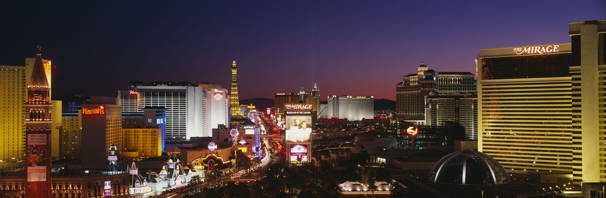 Electric Skyline Mural Wallpaper - pure wallpaper artwork