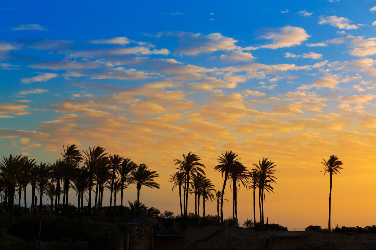 Spanish Sunrise Mural Wallpaper - pure wallpaper artwork