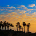 Spanish Sunrise Mural Wallpaper - pure wallpaper artwork