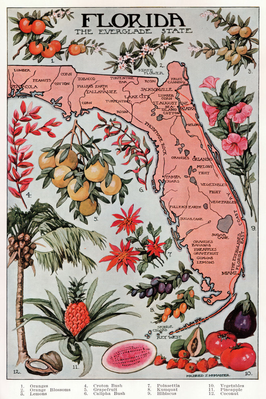 Vintage Florida Botanical Map Mural Wallpaper