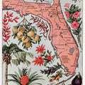 Vintage Florida Botanical Map Mural Wallpaper - pure wallpaper artwork