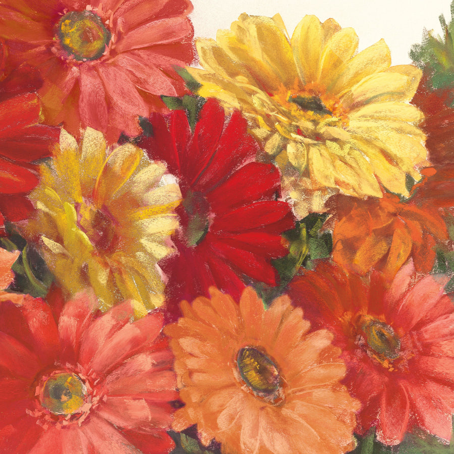 Bountiful Gerberas Square II Mural Wallpaper
