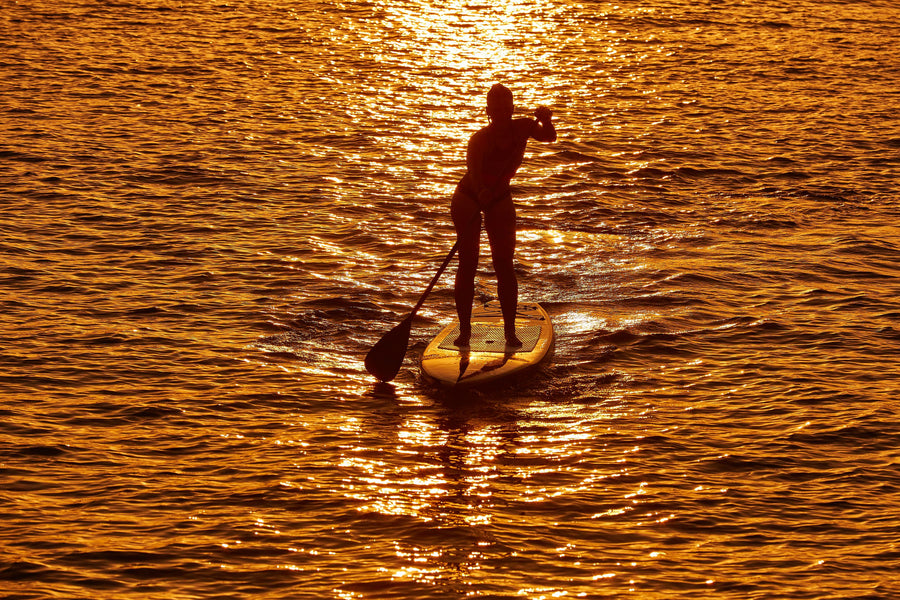 Golden Horizon Paddleboarder Mural Wallpaper