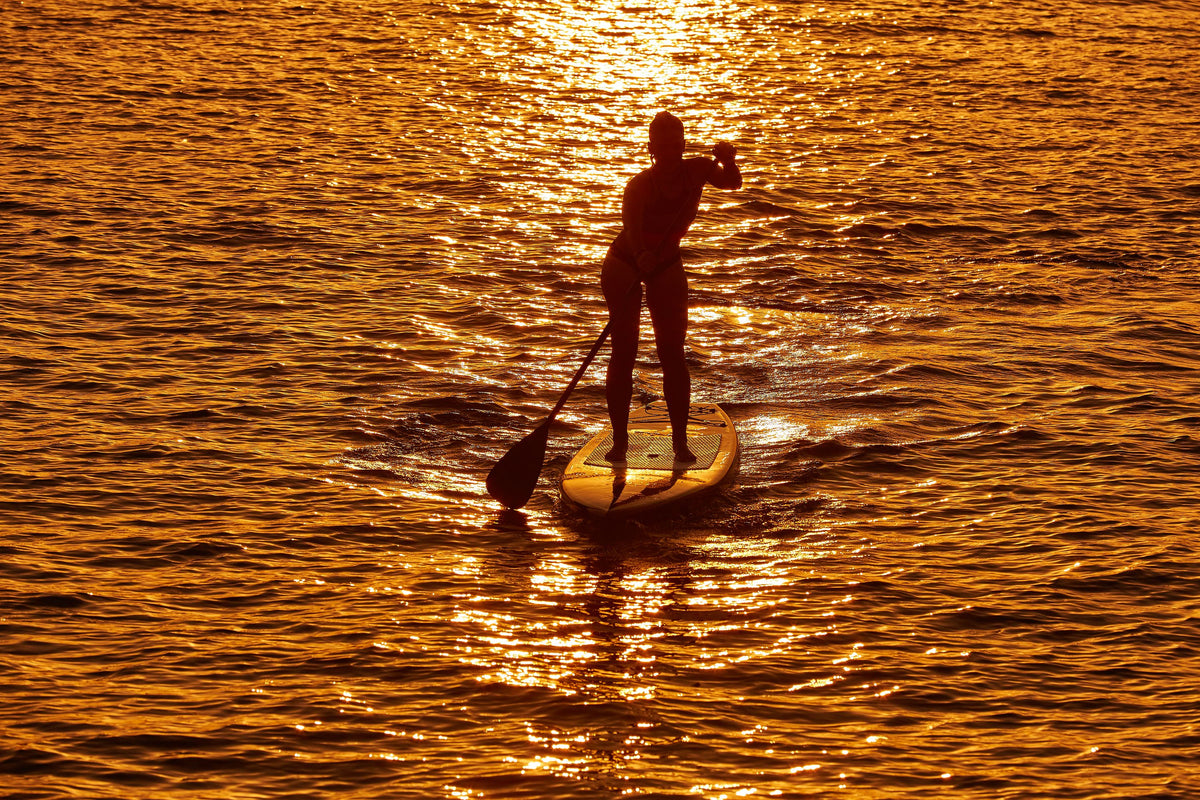 Golden Horizon Paddleboarder Mural Wallpaper - pure wallpaper artwork