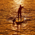 Golden Horizon Paddleboarder Mural Wallpaper - pure wallpaper artwork