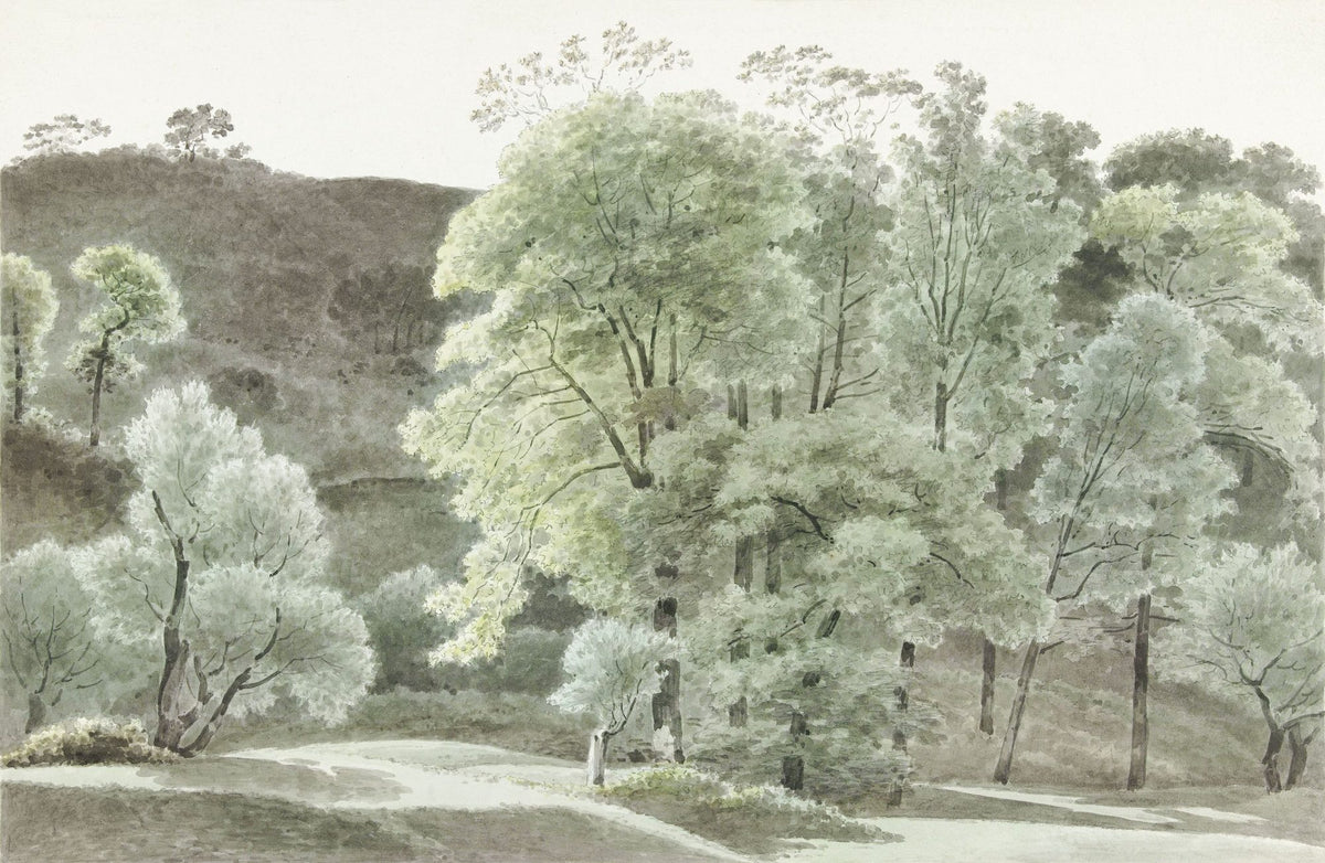 Painted Trees of Subiaco Mural Wallpaper - pure wallpaper artwork