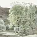 Painted Trees of Subiaco Mural Wallpaper - pure wallpaper artwork