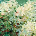 Humble Hydrangea Mural Wallpaper - pure wallpaper artwork