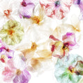 Orchids in the Wind Mural Wallpaper - pure wallpaper artwork