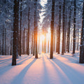 Snowy Woods At Sunset Mural Wallpaper - pure wallpaper artwork