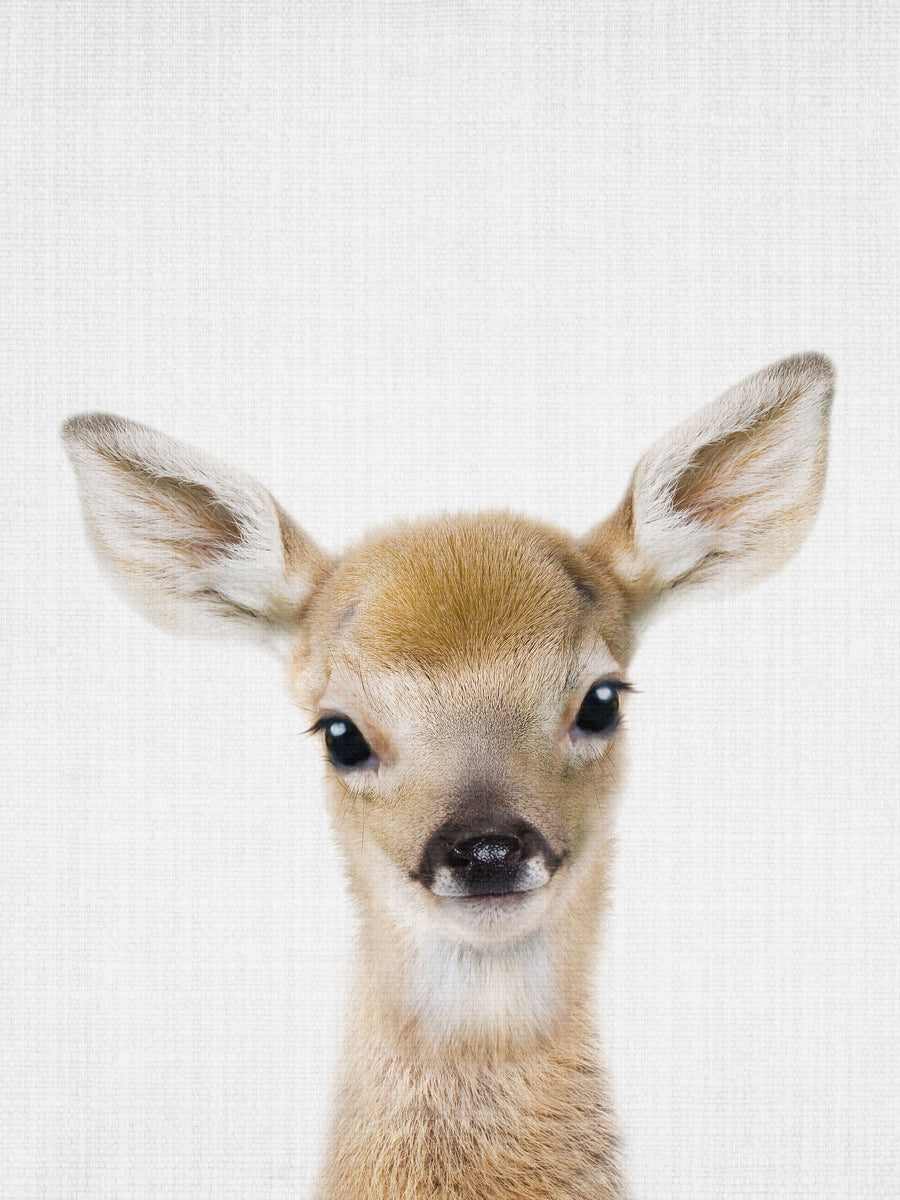 Peekaboo Baby Deer Mural Wallpaper