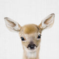 Peekaboo Baby Deer Mural Wallpaper - pure wallpaper artwork