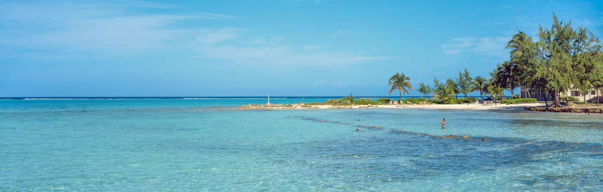 Turquoise Paradise Mural Wallpaper - pure wallpaper artwork