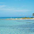 Turquoise Paradise Mural Wallpaper - pure wallpaper artwork