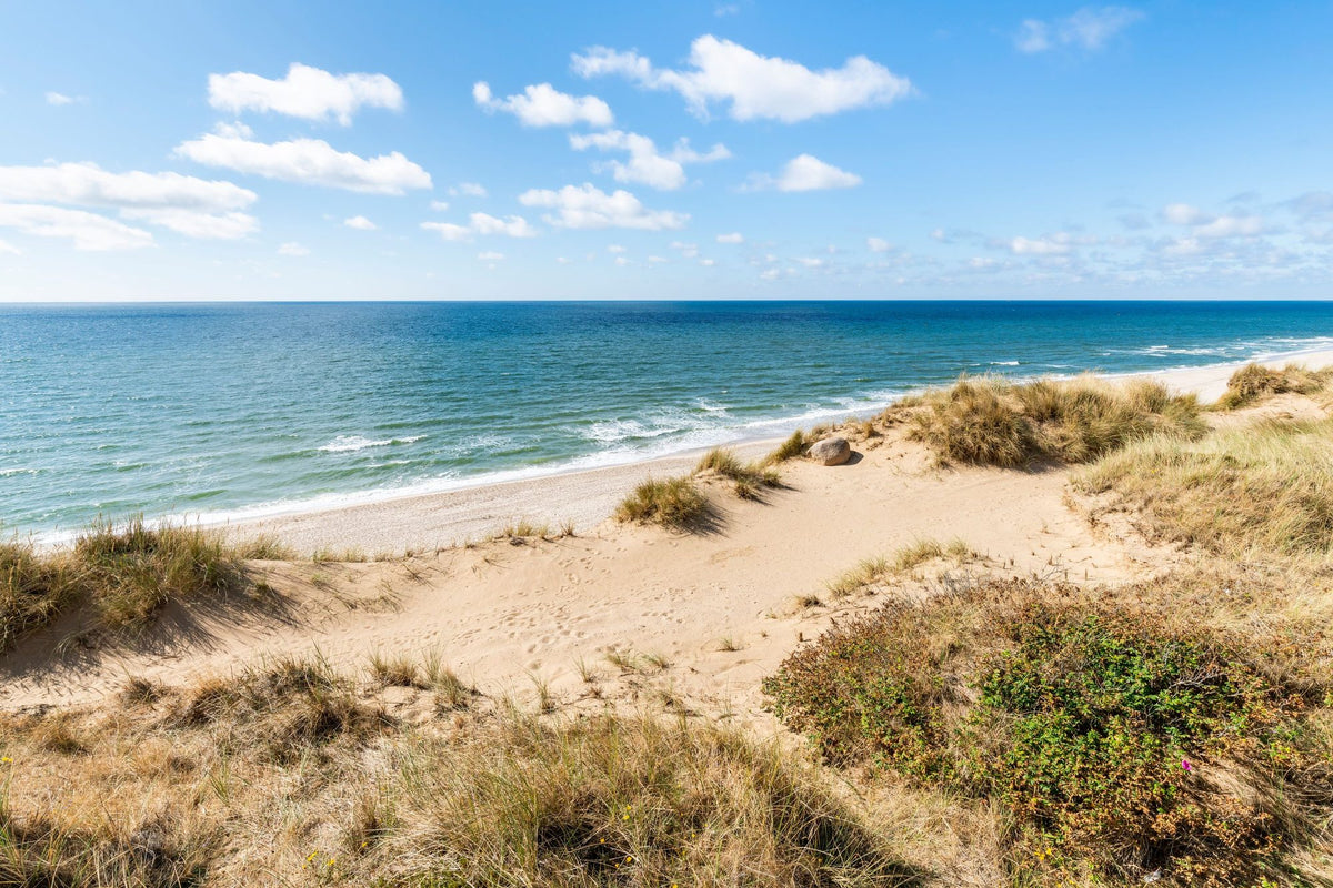Dune Landscape Mural Wallpaper - pure wallpaper artwork