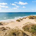 Dune Landscape Mural Wallpaper - pure wallpaper artwork