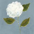 Dusty Blue Hydrangea II Mural Wallpaper - pure wallpaper artwork