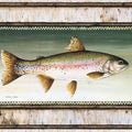 Rainbow Trout Birch Border Mural Wallpaper - pure wallpaper artwork