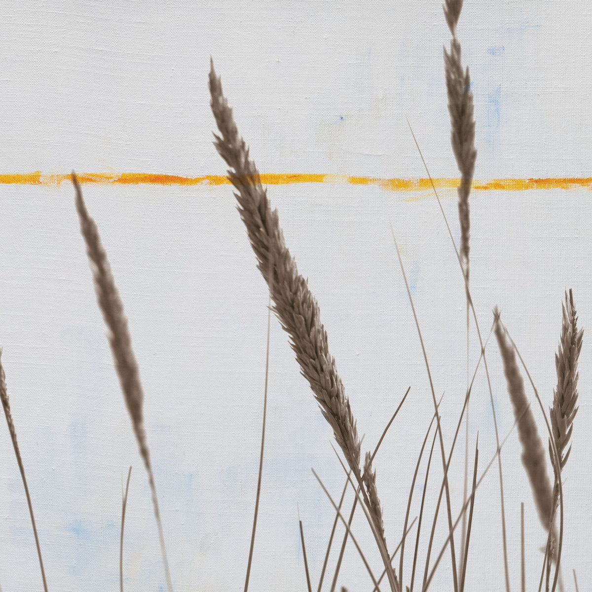 Sea Grass II Mural Wallpaper - pure wallpaper artwork
