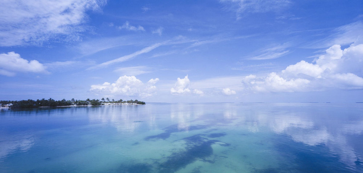 Tropical Horizon Mural Wallpaper - pure wallpaper artwork